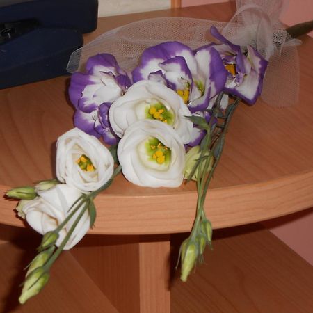 Hotel Vittoria Беневенто Экстерьер фото