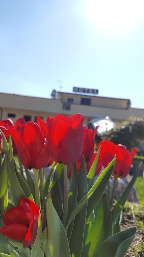 Hotel Vittoria Беневенто Экстерьер фото